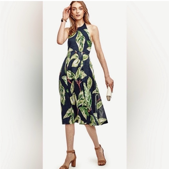 Ann Taylor Dresses & Skirts - Ann Taylor Navy and Green Leaf Midi Dress